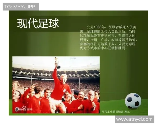 哈罗足球明星的身份揭秘及其在足球界的影响力分析
