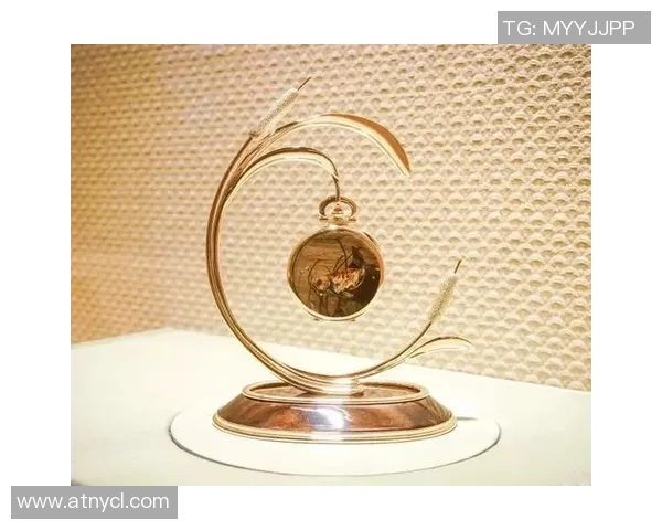 足球明星手办公仔捡漏揭秘如何在球场边缘找到珍稀收藏品