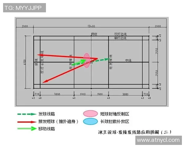 上海排球队的战术节奏分析与未来发展展望