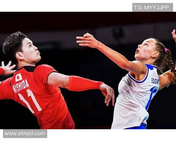 深度对话：杨娜如何在排球赛场上书写自己的传奇人生