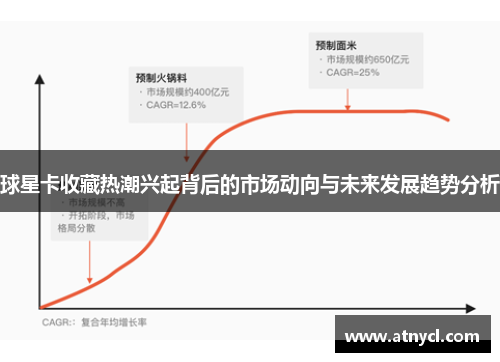 球星卡收藏热潮兴起背后的市场动向与未来发展趋势分析