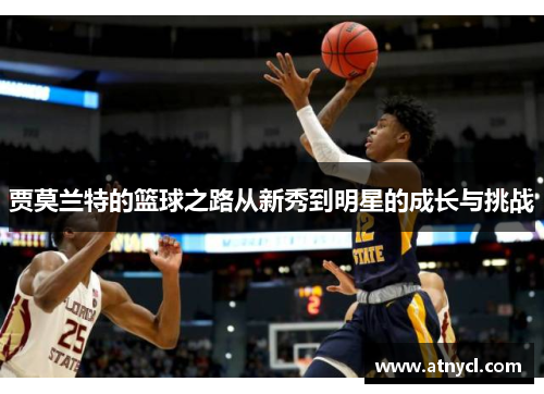 贾莫兰特的篮球之路从新秀到明星的成长与挑战